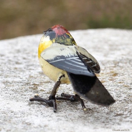 Roitelet triple bandeaux