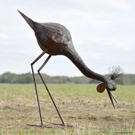 Grue bull