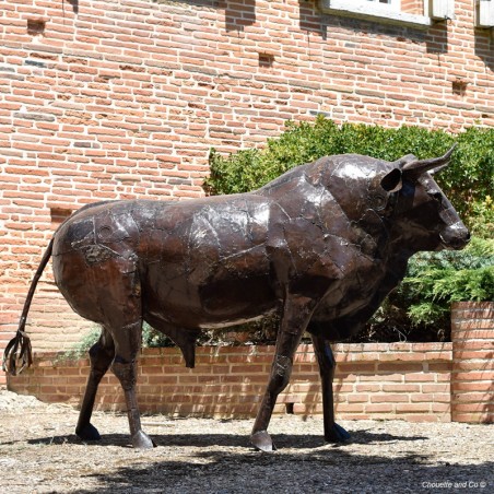 Taureau xxl