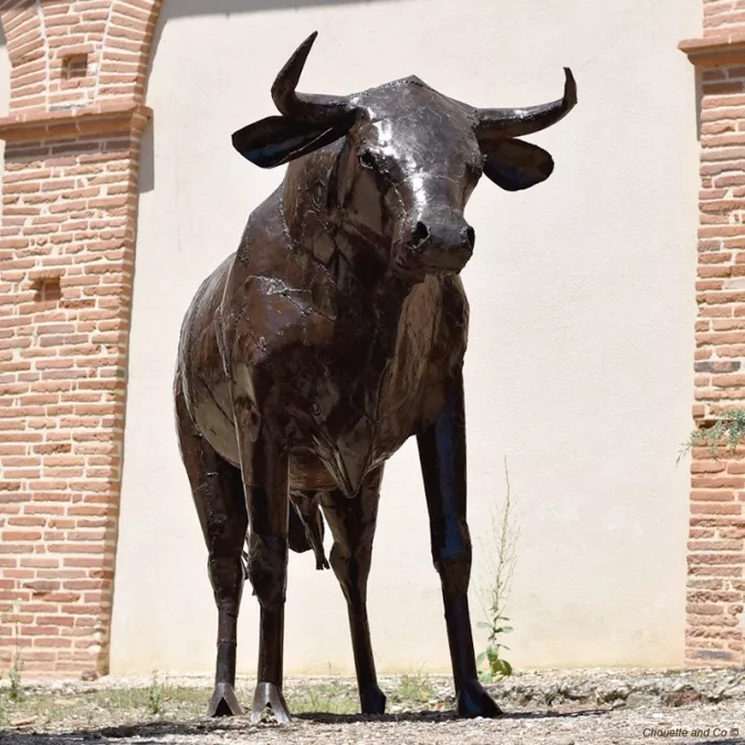 Taureau xxl