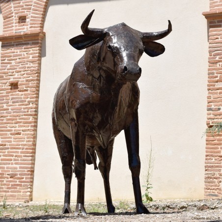 Taureau xxl