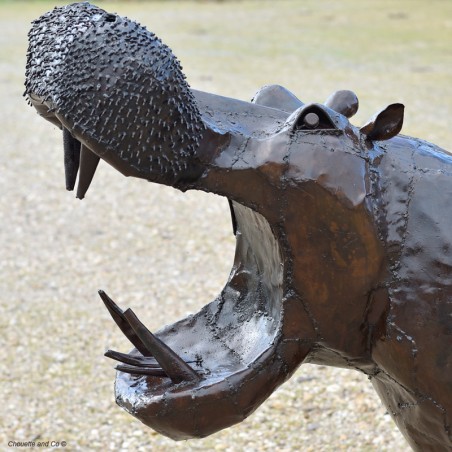 Hippopotame xxl gueule ouverte