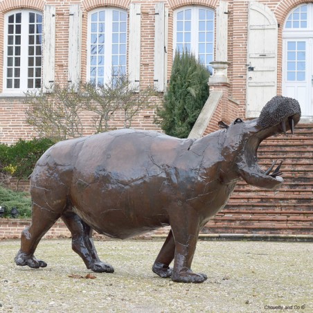 Hippopotame xxl gueule ouverte