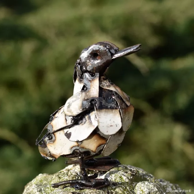 Canard lamelle blanc mini