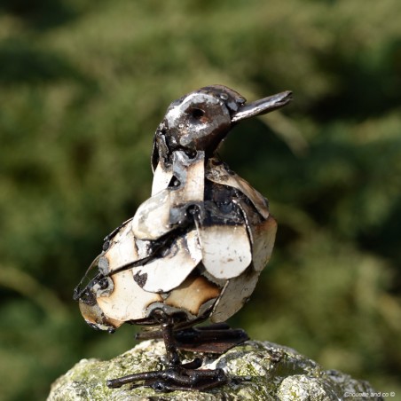 Canard lamelle blanc mini