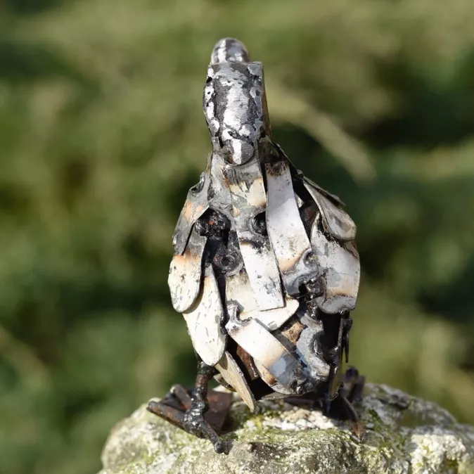 Canard lamelle blanc mini