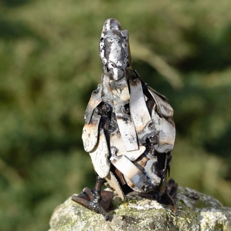 Canard lamelle blanc mini