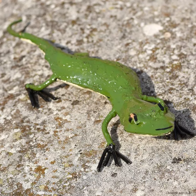 Lézard peint main