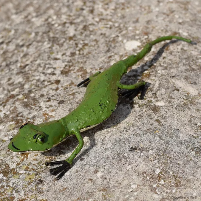 Lézard peint main