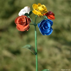 Roses multicolores sur tuteur 2