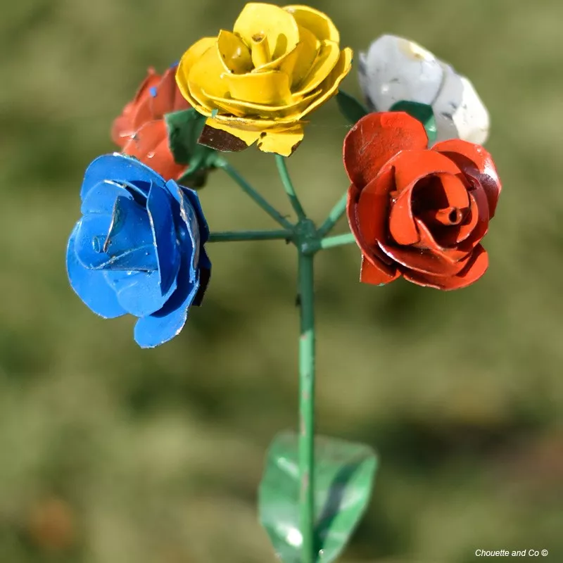 Roses multicolores sur tuteur