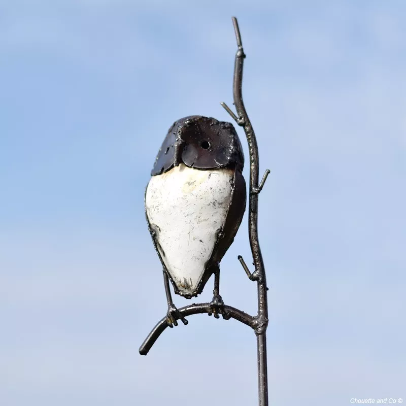 chouette blanche sur branche sur tuteur