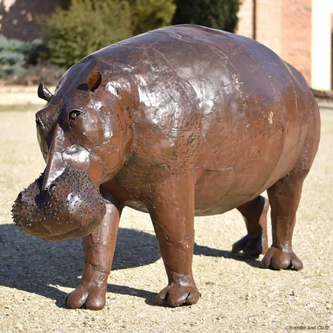 Hippopotame xxl