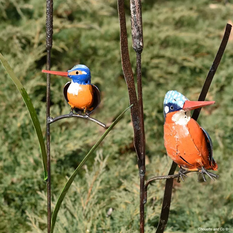 Martin pêcheur sur jonc