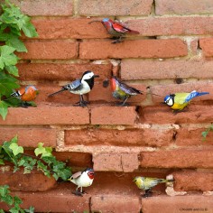 Oiseau peint main mix 2