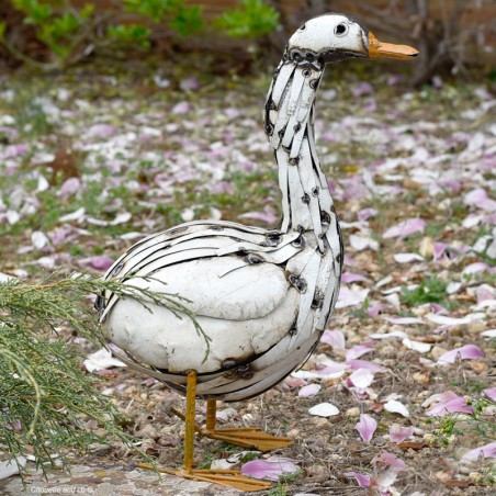 Canard lamelles blanches long cou