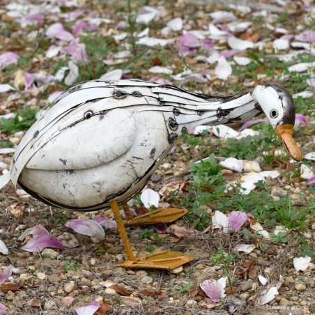 Canard lamelles blanches long cou