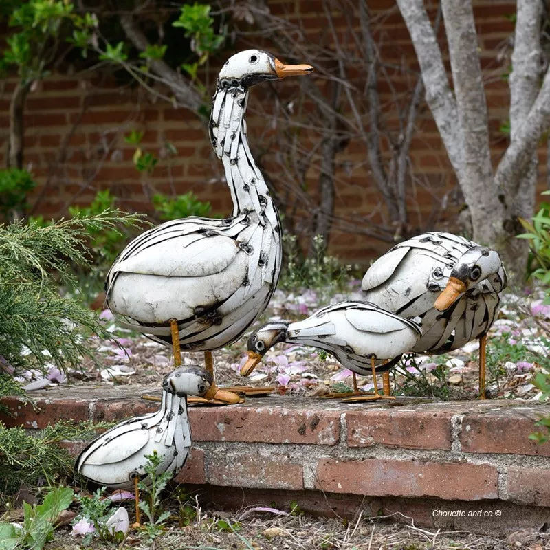 Canard lamelles blanches long cou
