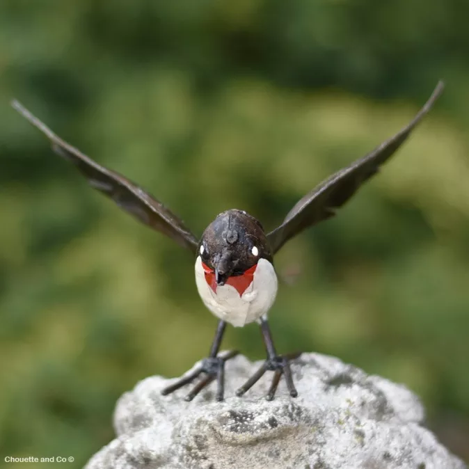 Hirondelle ailes ouvertes