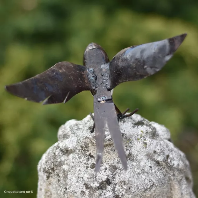 Hirondelle ailes ouvertes