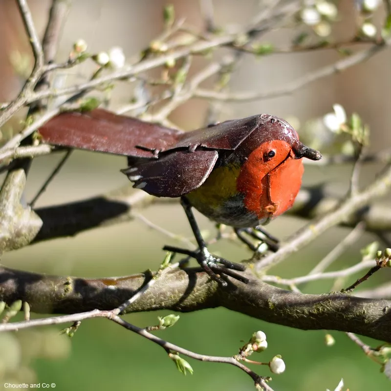 Rouge gorge