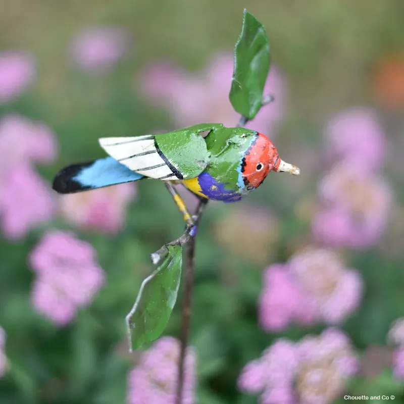 Diamant de Gould + feuilles sur tuteur
