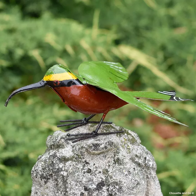 guépier  ailes ouvertes