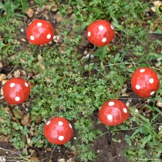 Champignon amanite mini