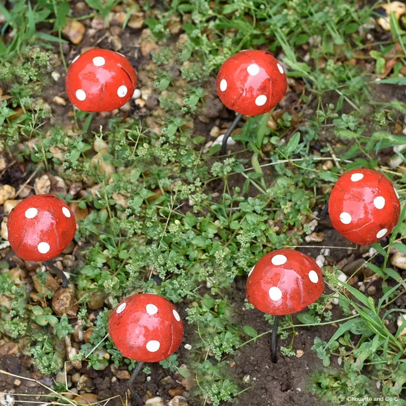 Champignon amanite mini