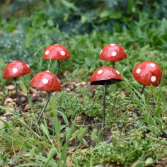 Champignon amanite mini 2