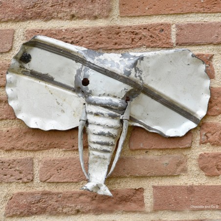 Tête d'éléphant blanche