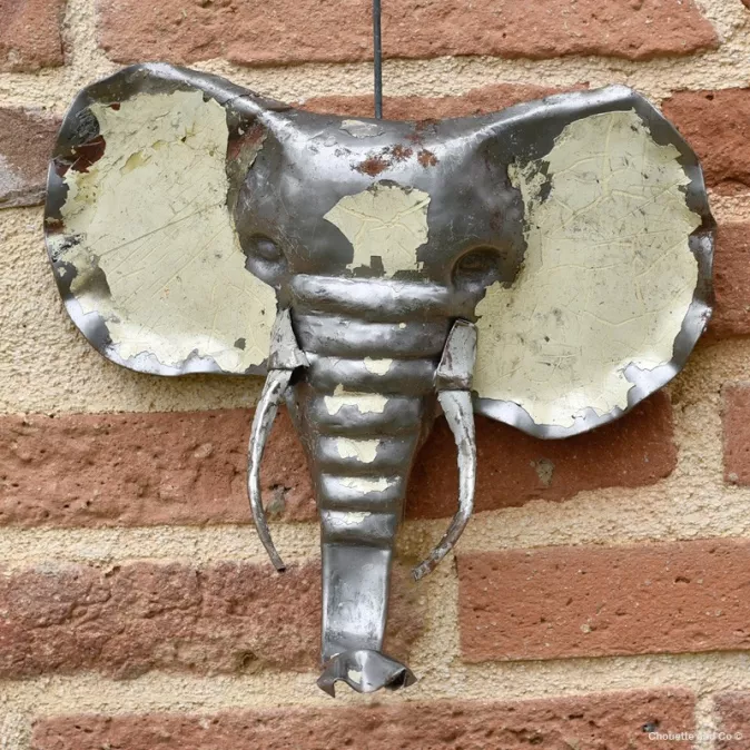 Tête d'éléphant blanche