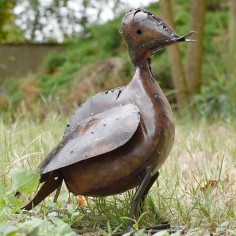 Canard naturel cuivré 2