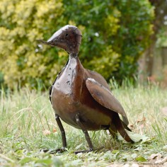 Canard naturel cuivré