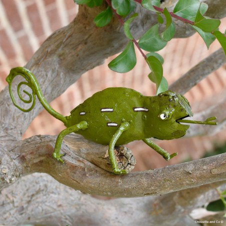 Caméléon motifs peint