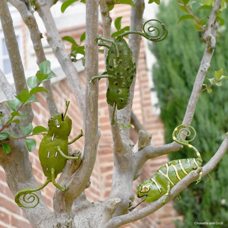 Caméléon motifs peint