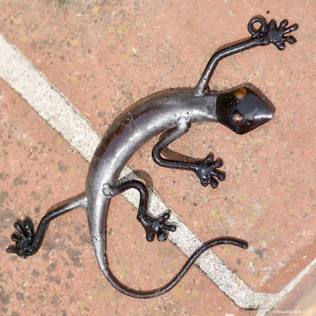 Lézard mexicain