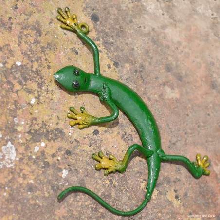 Lézard mexicain