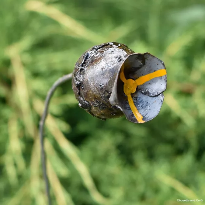 Fleur de pavot sur tuteur