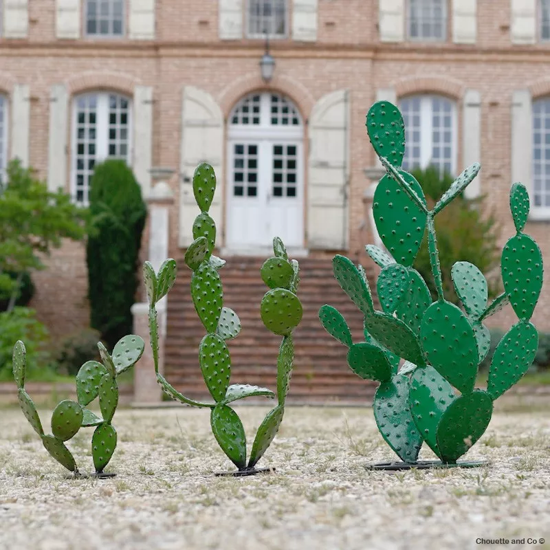 Cactus figue de barbarie