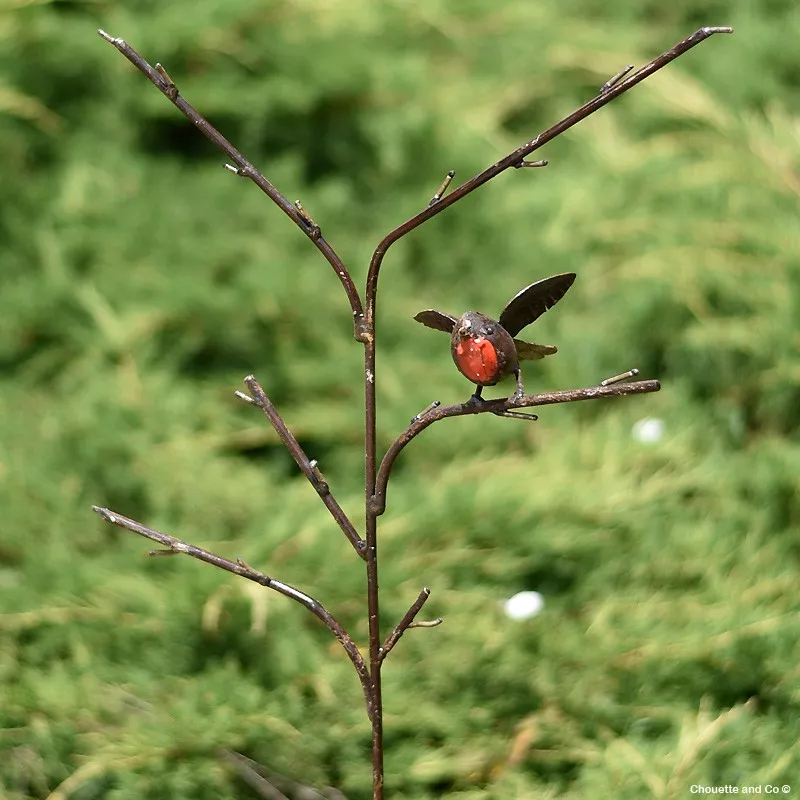 Rouge gorge couleur sur branche