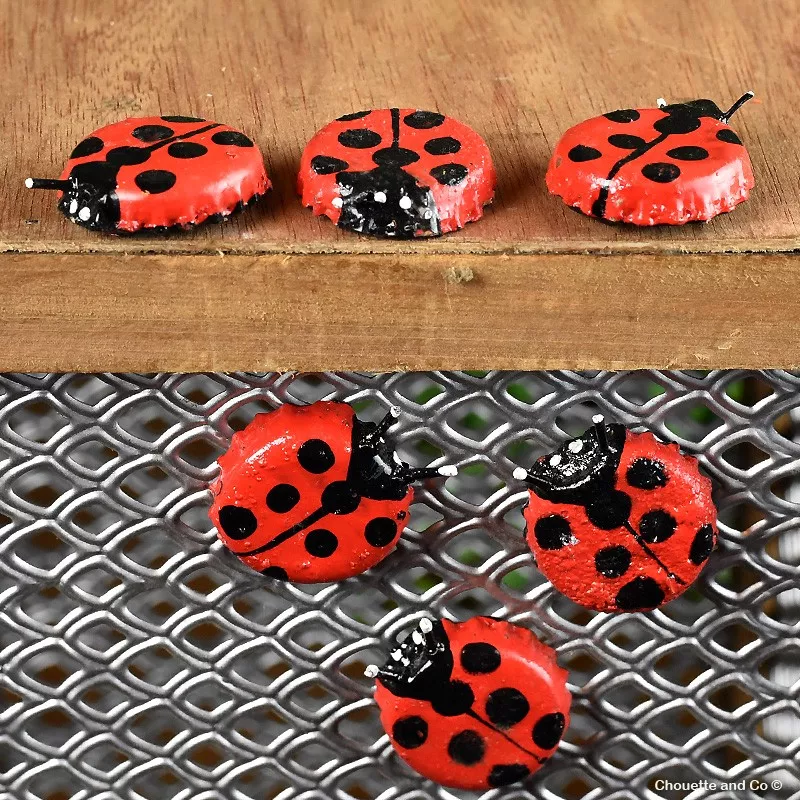 Coccinelle capsule