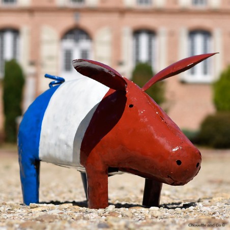 Cochon supporter français