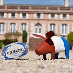 Cochon supporter français