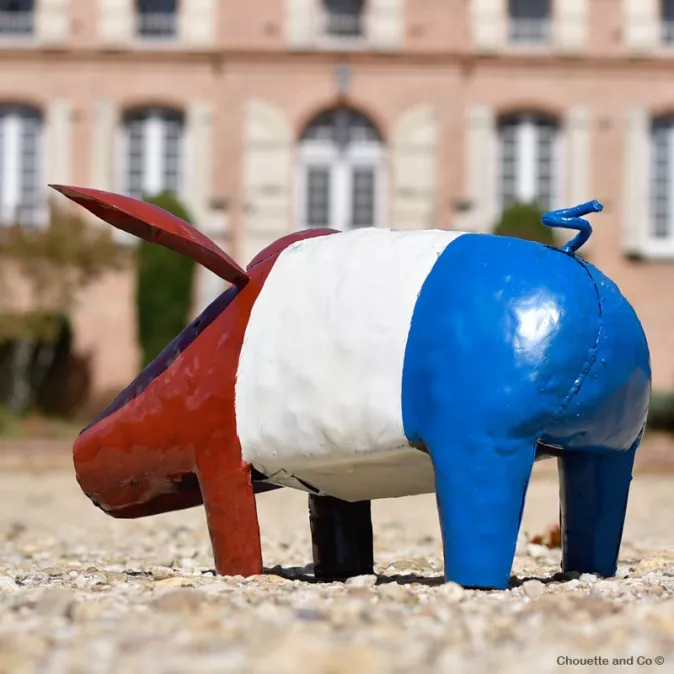 Cochon supporter français