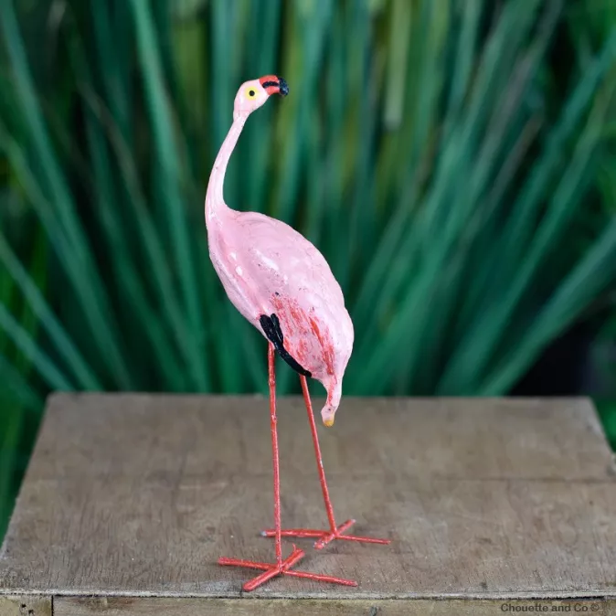 Flamants rose graine