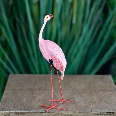 Flamants rose graine