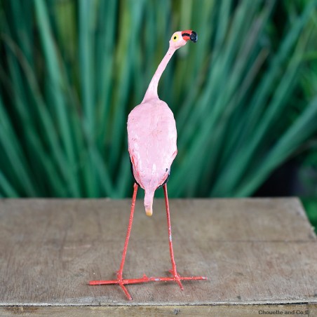 Flamants rose graine