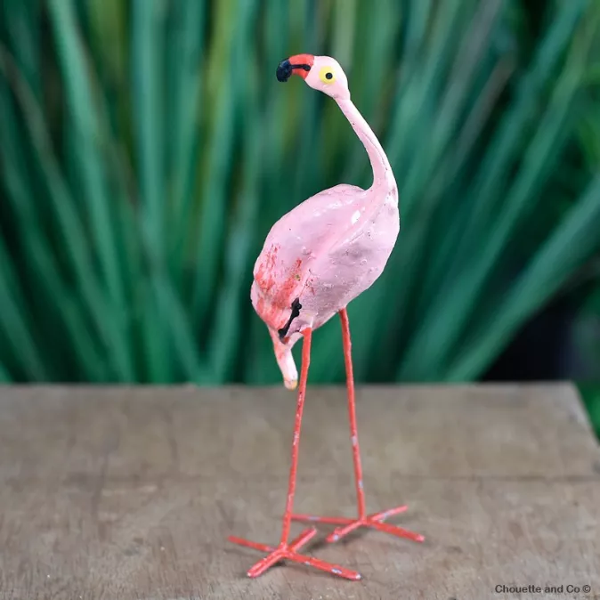 Flamants rose graine