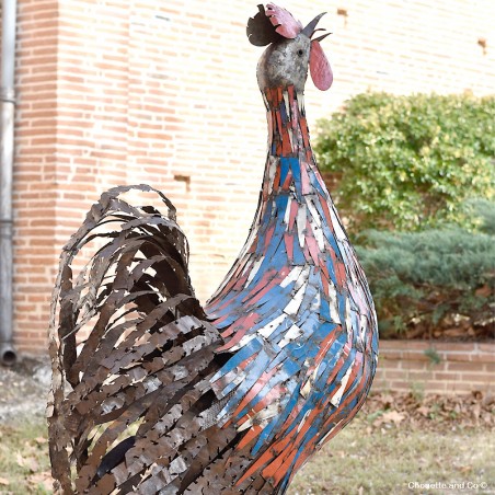 Coq fines lamelles bleues et rouges